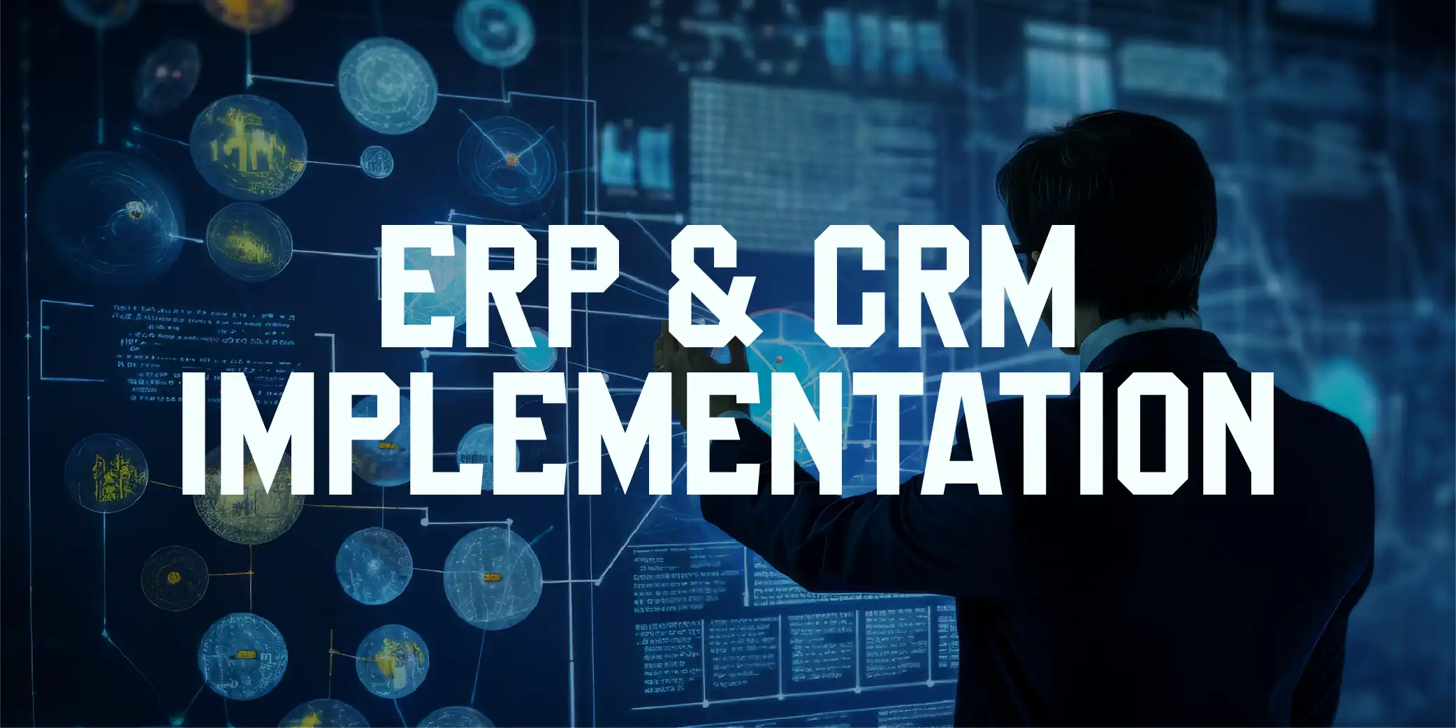 ERP & CRM Implementation